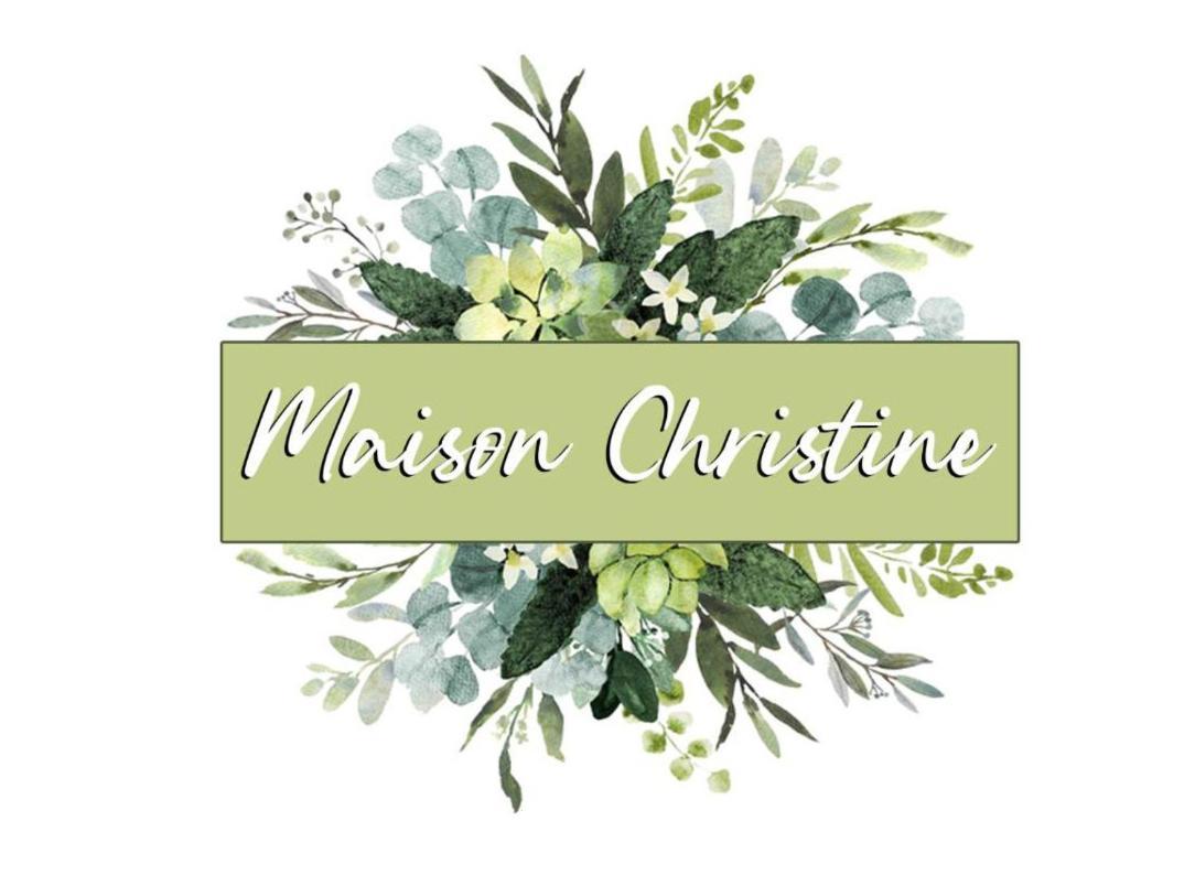 Maison Christine Turin Exterior photo